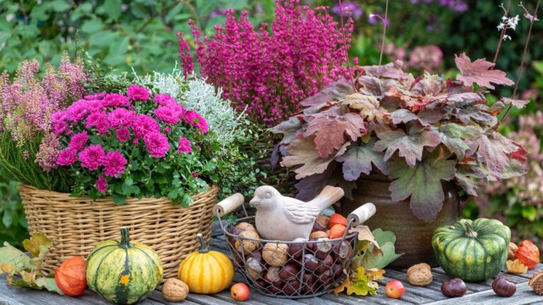 8 Best Fall Flowers for Pots | Stunning Autumn Container Gardens