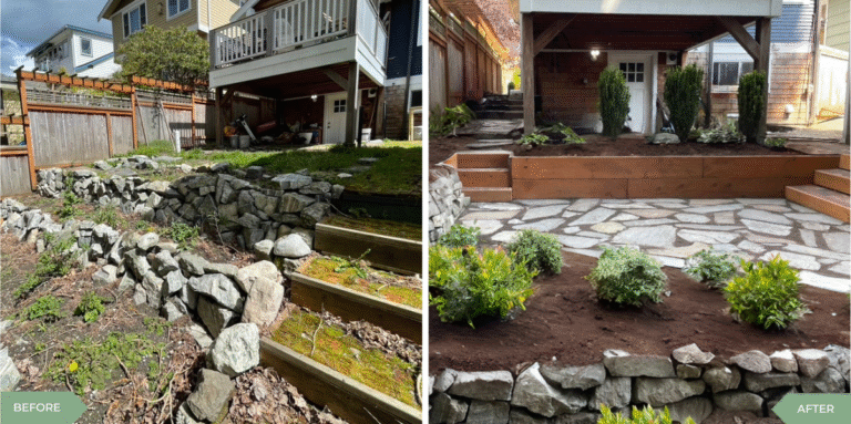 Yard Trash to Garden Treasure: Complete Cleanup & Transformation Guide