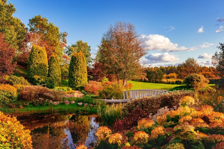 Plant Bulbs This Fall: Expert Guide to Stunning Spring Garden Success