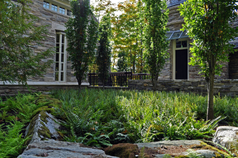 8 Best Native Ground Covers to Replace Your Lawn | Low Maintenance