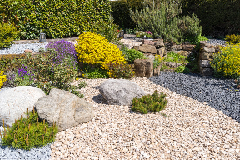 Rocky Soil Transformation: 5 Proven Steps to Garden Paradise