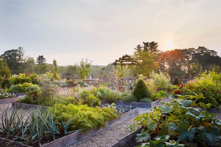 9 Plants You Must Prune in September for Explosive Spring Growth