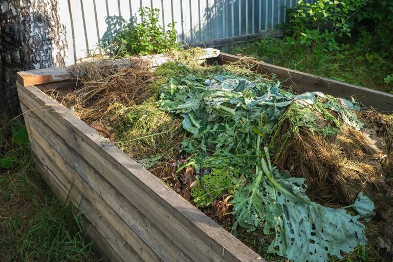 Boba Straw Compost Hack: The Lazy Gardener’s Secret to Perfect Black Gold
