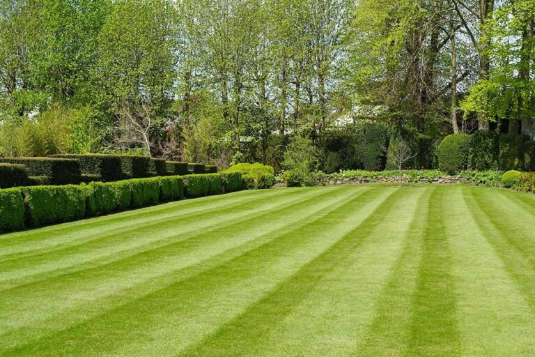 7 Essential September Lawn Care Tasks for a Lush Spring Lawn