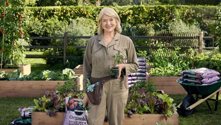 Martha Stewart Living Garden Maze: Complete Budget DIY Guide 2025