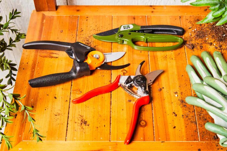 I Splurged on Cult-Favorite Pruners Pros Swear By – Zero Regrets